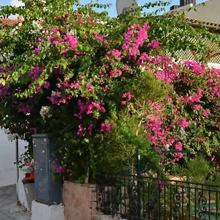 Villa Seaview By Myseasight-3