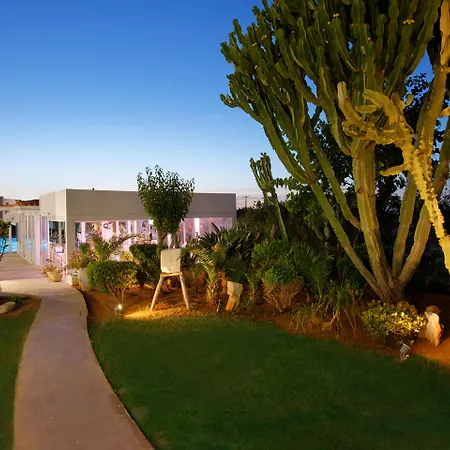 Oasis Beach Hotel - Adults Only-2