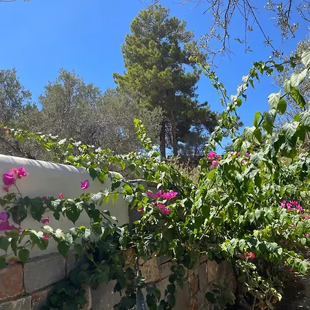 Nefeli Villas-3