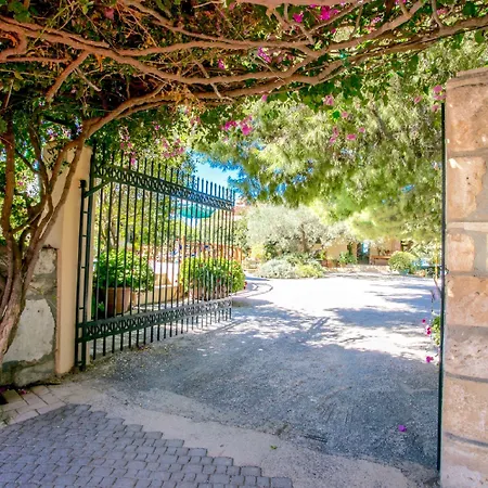 Villa Agapi Episcopi-3